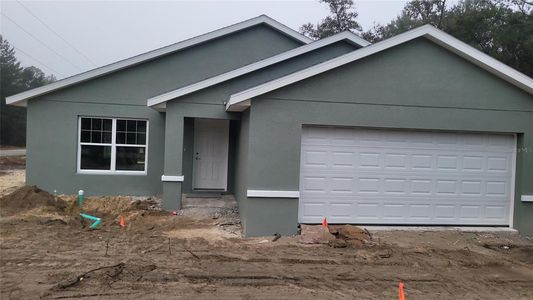 New construction Single-Family house 24300 Sw Sea Cliff Ave, Dunnellon, FL 34431 null- photo 2 2