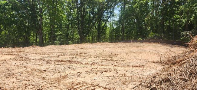 New construction Single-Family house 1470 Boat Rock Rd Sw, Atlanta, GA 30331 - image
