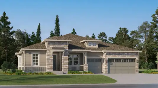 New construction Single-Family house 4109 Buttongrass Trl, Castle Rock, CO 80108 plan Trevino II - image