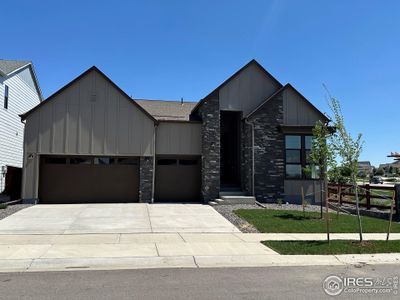 New construction Single-Family house 1719 Branching Canopy Dr, Windsor, CO 80550 1- photo 0