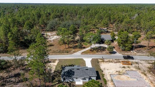 New construction Single-Family house 24134 New Tamarind Ln, Dunnellon, FL 34431 - image