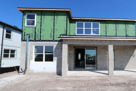 New construction Single-Family house 5753 Maydale Ave, Wesley Chapel, FL 33545 Coronado II- photo 49 49