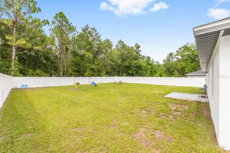 New construction Single-Family house 3781 Se 144Th Ln, Summerfield, FL 34491 - image