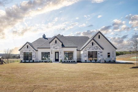 New construction Single-Family house 2019 Veal Cir, Springtown, TX 76082 - image