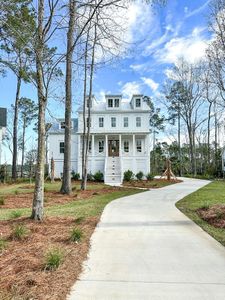 New construction Single-Family house 1461 Jeremy Cay Ct, Awendaw, SC 29429 - image