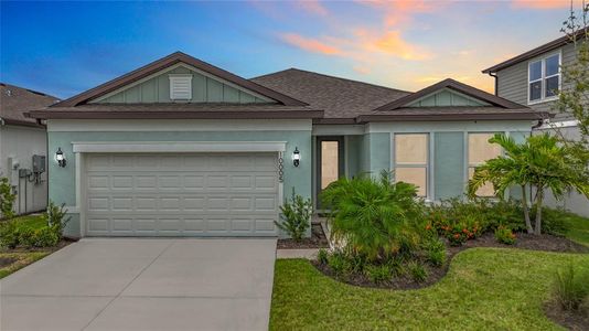 New construction Single-Family house 10005 Patterson Wy, Parrish, FL 34219 - image