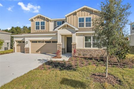 New construction Single-Family house 748 Wekiva Ridge Dr, Mount Dora, FL 32757 - image