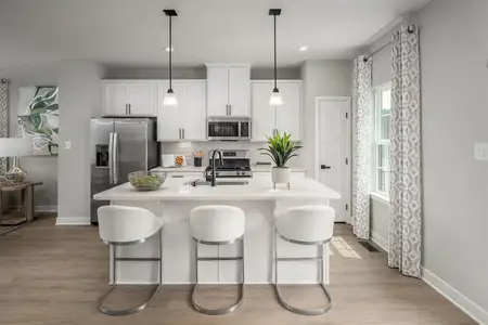 New construction Single-Family house 2129 Primm Farm Dr, Charlotte, NC 28216 plan Beethoven - image