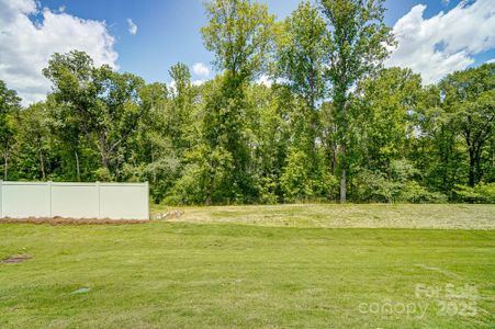 New construction Townhouse house 14930 Tamarack Dr, Charlotte, NC 28278 Blayre- photo 30 30