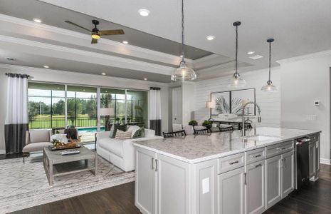 Vida's Way by Pulte Homes in Zephyrhills - photo 37 37