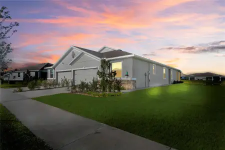 New construction Single-Family house 31511 Ancient Sage Rd, Wesley Chapel, FL 33545 - image