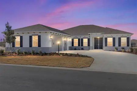 New construction Single-Family house 8641 Sw 99Th Cir, Ocala, FL 34481 - image