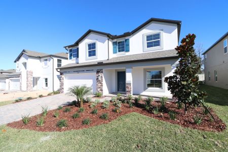 New construction Single-Family house 12168 Hilltop Farms Dr, Dade City, FL 33525 Malibu- photo 107 107