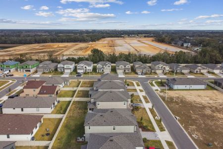 New construction Single-Family house 38433 Pindos Dr, Dade City, FL 33525 Mira Lago- photo 168 168