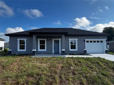 New construction Single-Family house 10325 Se 125Th Ln, Belleview, FL 34420 - image