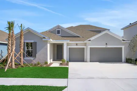 New construction Single-Family house 17527 Valleywood Pkwy, Land O' Lakes, FL 34638 plan Arlington W/ Bonus - image