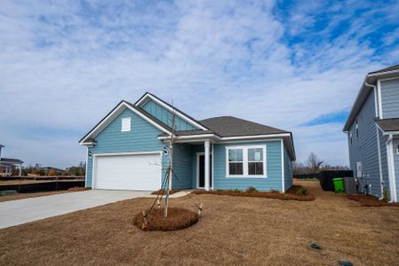 New construction Single-Family house 145 Monroe Preserve Dr, Chapin, SC 29036 plan Morgan - image