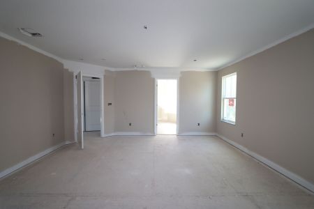 New construction Single-Family house 20125 Oriana Loop, Land O' Lakes, FL 34638 Santina II- photo 122 122