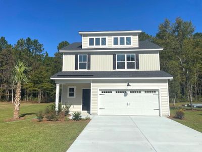 New construction Single-Family house 1228 Alston Dingle Rd, Awendaw, SC 29429 - photo 0