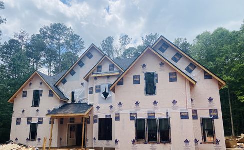 New construction Single-Family house 1825 Star Point Road, Carrollton, GA 30116 The TINSDALE- photo 0