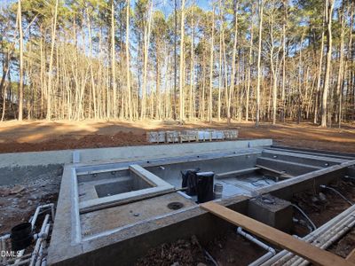 New construction Single-Family house 6448 Sanctuary Falls Dr, Raleigh, NC 27614 - image 19