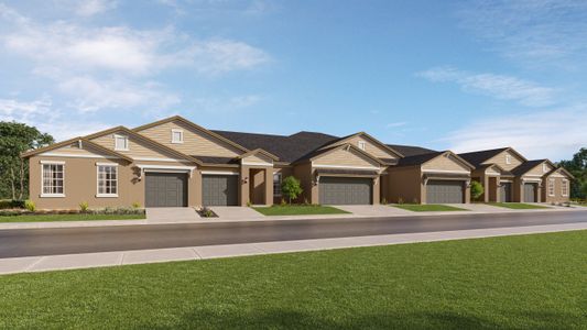 New construction Multi-Family house 9941 Dancing Goat Pl, Land O' Lakes, FL 34638 plan Aurora III - image