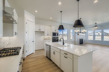 New construction Single-Family house 8436 William Downing, Colorado Springs, CO 80908 plan C416 - image 10