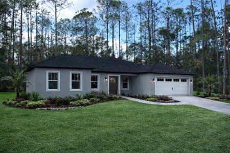 New construction Single-Family house 10048 N Blyer Wy, Citrus Springs, FL 34434 - image