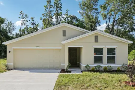 New construction Single-Family house 11288 Elgin Blvd, Spring Hill, FL 34608 plan Prescott - image