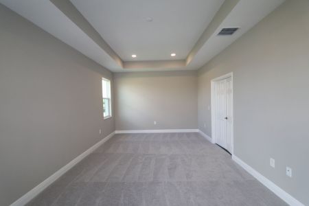 New construction Single-Family house 31229 Denham Ridge Ln, Wesley Chapel, FL 33545 Newport II- photo 123 123