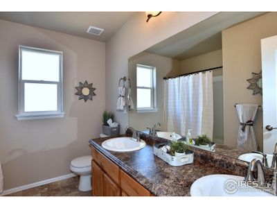 New construction Single-Family house 2416 Dandelion Ln, Johnstown, CO 80534 - image 3