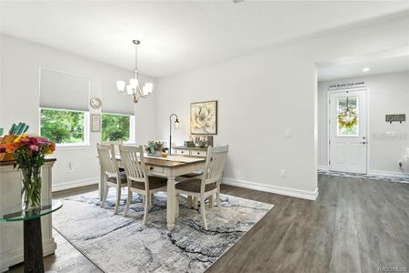 New construction Single-Family house 1136 N Cherry Pop Dr, Hernando, FL 34442 - image 13