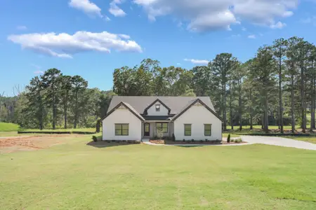 New construction Single-Family house 46 Millie Trl, Williamson, GA 30292 plan Davenport - image