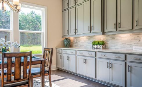New construction Single-Family house 1041 Sage Pine Cir, Clover, SC 29710 plan Columbia - image 15