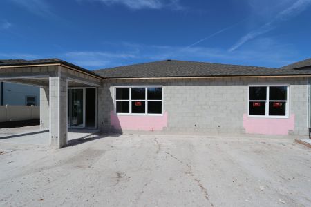 New construction Single-Family house 3116 Marine Grass Dr, Wimauma, FL 33598 Barcello- photo 33 33