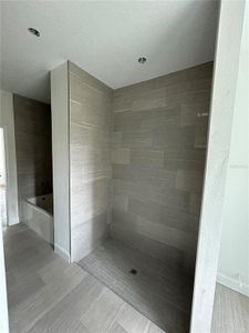 previous model shower