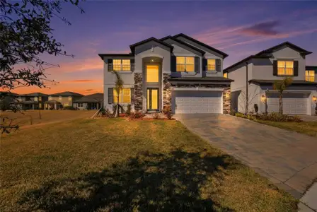 New construction Single-Family house 2909 Ivory Bluff Ct, Zephyrhills, FL 33540 - image