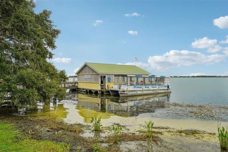 New construction Single-Family house 33431 Seattle Slew Dr, Sorrento, FL 32776 The Webber- photo 82 82