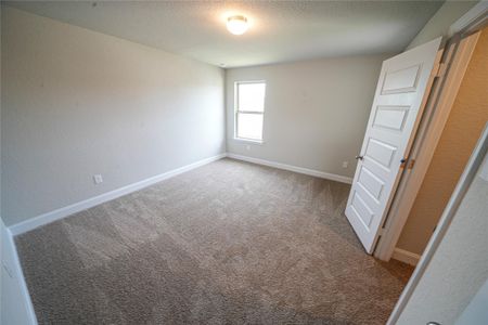 New construction Single-Family house 312 Proctor Grv, Cibolo, TX 78108 Weimer- photo 13 13