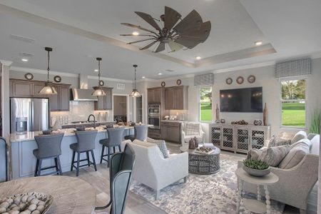 On Top of the World Communities by Colen Built Development, LLC in Ocala - photo 45 45