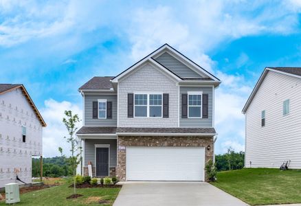 New construction Single-Family house 211 Hillview Ave, Unit 89, Shelbyville, TN 37160 - image