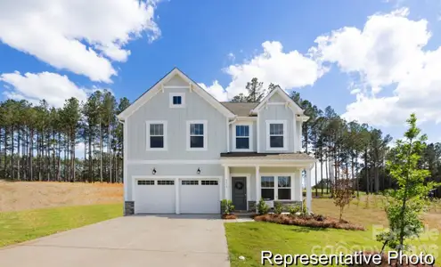 New construction Single-Family house 443 Babbling Brook Ln, Unit 171b, Locust, NC 28097 - image
