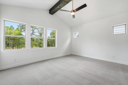 New construction Single-Family house 7806 Longhorn Ballroom, Montgomery, TX 77316 plan The Colorado - image 13