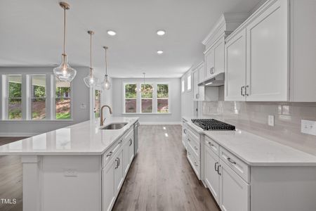 New construction Single-Family house 9168 Dupree Meadow Dr, Unit 15, Angier, NC 27501 - image 6