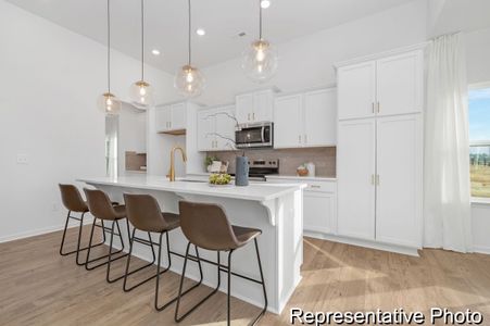 New construction Single-Family house 225 Tillery Ln, Mount Gilead, NC 27306 plan Montcrest - image