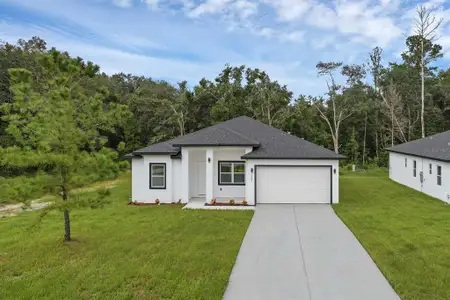 New construction Single-Family house 205 Australian Dr, Rotonda West, FL 33947 - image