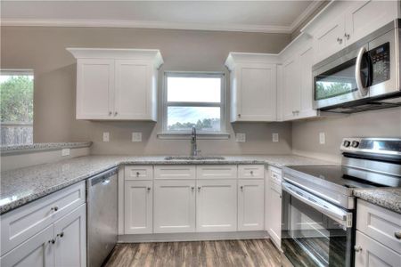 New construction Single-Family house 114 Elivia Wy, Dallas, GA 30132 Jackson- photo 13 13