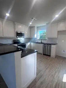 New construction Single-Family house 1013 Bradshaw Ct, Springtown, TX 76082 - image