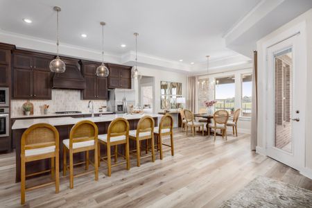 New construction Single-Family house 1609 Bella Wy, Wylie, TX 75098 plan Torino - image 9