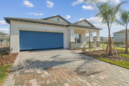 New construction Single-Family house 3064 Fall Harvest Dr, Zephyrhills, FL 33540 Picasso- photo 205 205